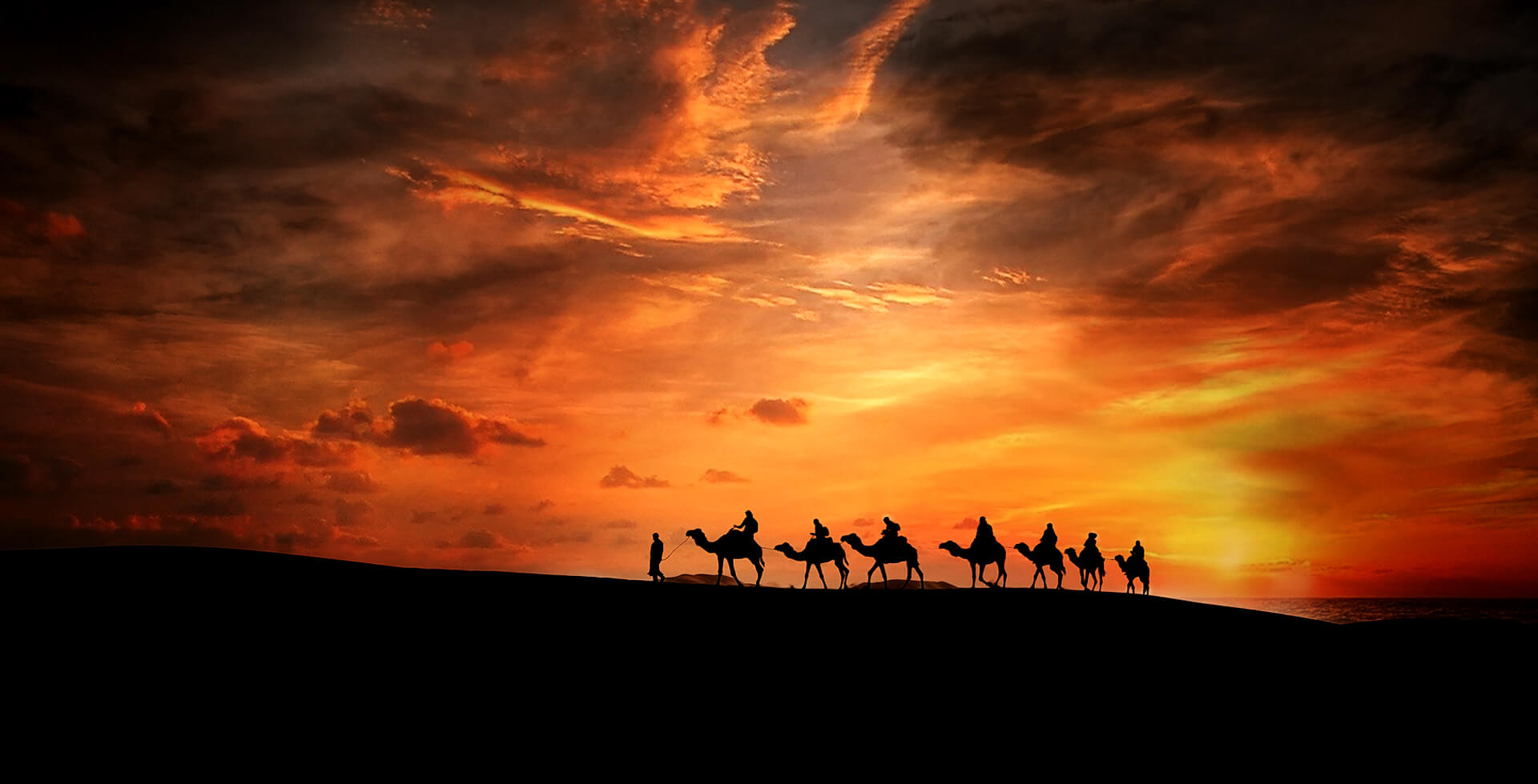 M'hamid El Ghizlan Desert, camel desert, tour with camel , morocco sahara